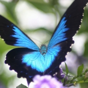 말린돼지's avatar